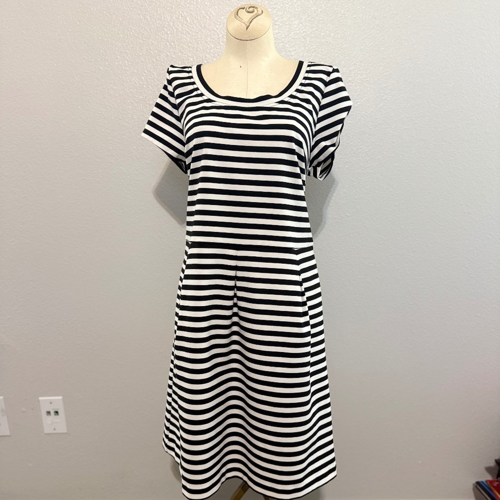 Black and whit striped dress